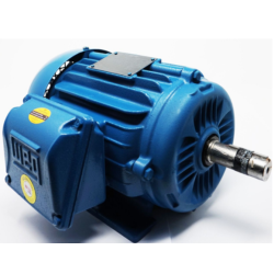 WEG MOTOR BIFASICO EN BAJA...